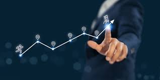 Career Strategy & Sector Focus